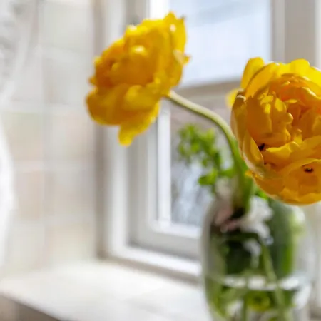 شقة Eulenhof 2 بورديلوم